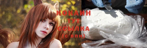 стаф Бугульма