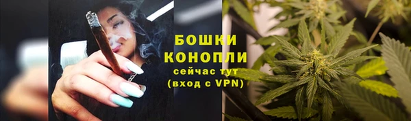 стаф Бугульма