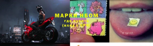 стаф Бугульма