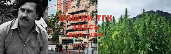 стаф Бугульма
