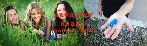 стаф Бугульма
