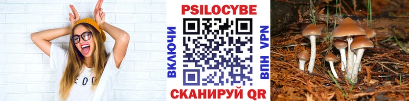 Галлюциногенные грибы мухоморы Минусинск