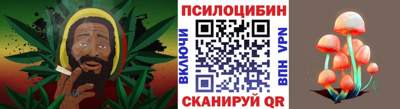 наркошоп  Минусинск  Псилоцибиновые грибы мухоморы 